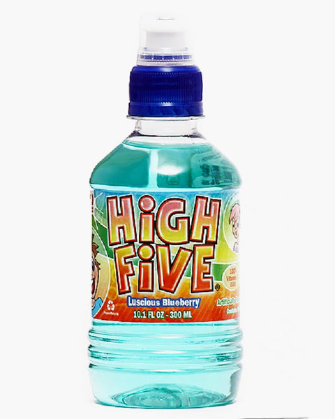 High Five Blueberry 10oz. 24ct.